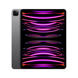 iPad Pro 12.9" MNXP3LZ/A Wi-Fi 128GB Gris Espacial (Muy bueno)